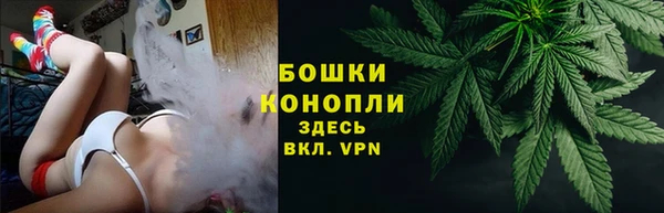 эйфоретик Майский