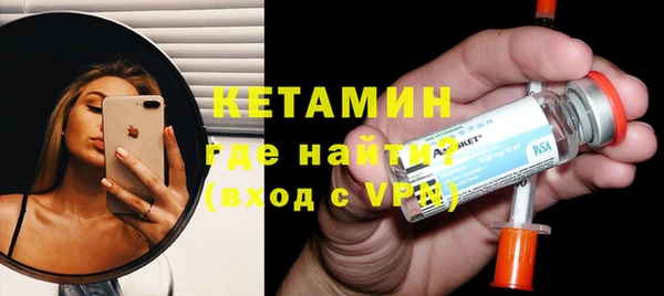 шишки Надым