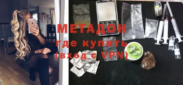 шишки Надым