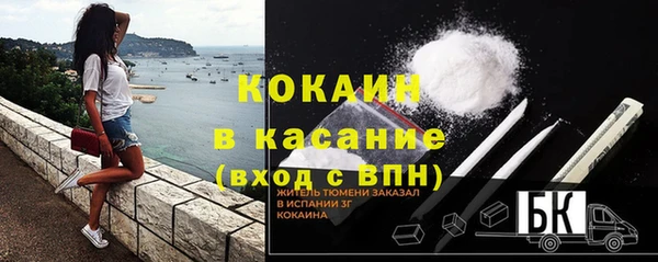 дмт Мегион