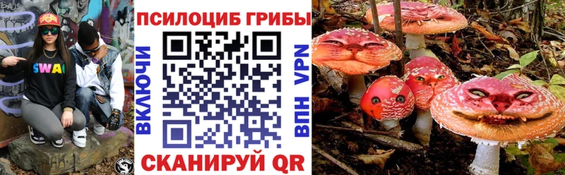 как найти   Темников  Псилоцибиновые грибы Psilocybe 